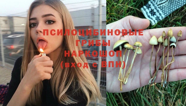 хмурый Армянск