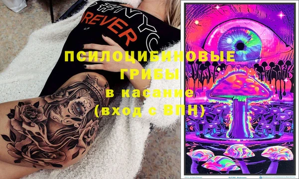 каннабис Арсеньев